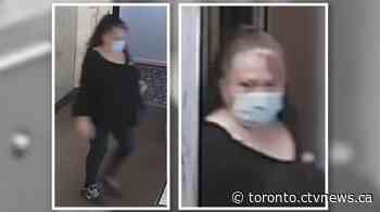 Police searching for suspect who allegedly posed as PSW and stole from senior in Hamilton