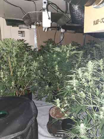 Police discover large scale cannabis farm