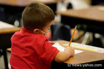 Children transmit the coronavirus, Utah study suggests, but don't get sick themselves