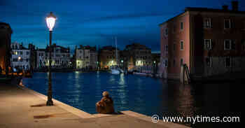 Finding a Place for Third-Culture Kids in the Culture