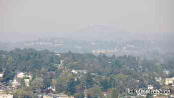 Murky skies, poor air quality in B.C. as more smoke from U.S. wildfires drifts north