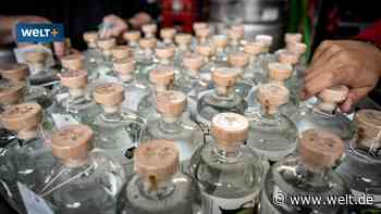 Schnaps ohne Alkohol – ein voller Erfolg?