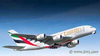 Cancer Patient's Emotional Support Dog Dies on Emirates Flight