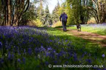 Hot September weather predicted for next week