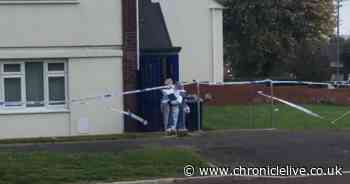 First footage from the scene as murder investigation is launched in Leam Lane