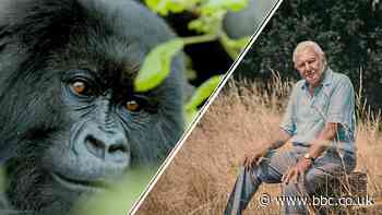 Sir David Attenborough makes stark warning about species extinction