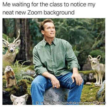 Me Waiting For The Class To Notice My Neat New Zoom Background – Meme