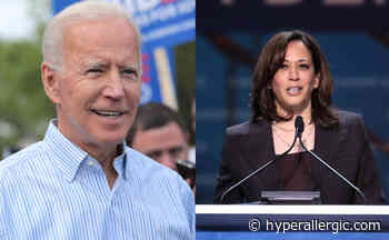 Where Do Joe Biden and Kamala Harris Stand on the Arts? - Hyperallergic