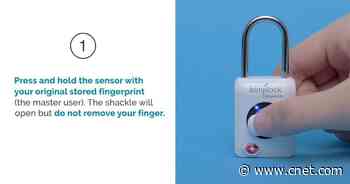 How two small tech brands play the retail game     - CNET