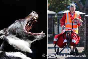 Royal Mail say dog owners could face 5 YEARS in prison if their pet bites a postal worker