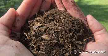 Vitamix FoodCycler turns eggshells, banana peels and food scraps into compost fast     - CNET