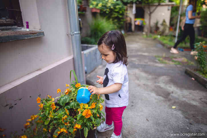 When your garden gets this hot, here’s what you need to do