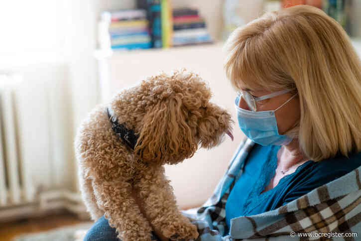 Successful Aging: Why do some people handle the pandemic better than others?