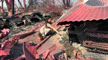 At least 25 dead in U.S. West Coast wildfires, but calmer winds offer some hope