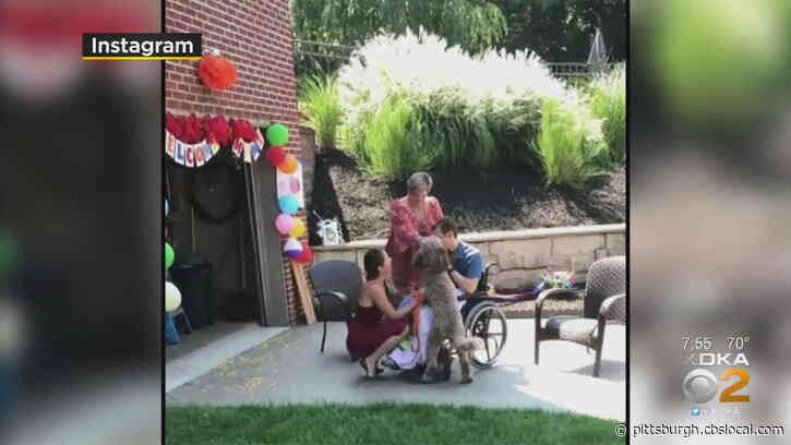 Pittsburgh Man Who Suffered Traumatic Brain Injury Reunited With Dog