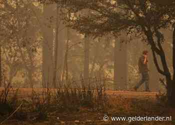 13-jarige jongen dood gevonden met hond op schoot na verwoestende bosbrand VS