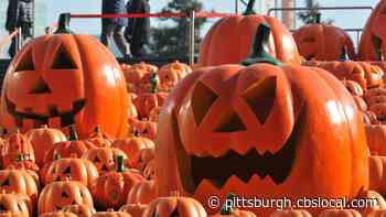 Mount Lebanon Cancels Pumpkin Patch Parade