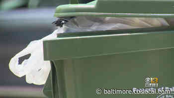 Baltimore City Council President Brandon Scott Seeking Volunteers To Help With Recycling, Trash Pickup - CBS Baltimore