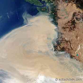 Stunning Satellite Imagery of West Coast Wildfires Shows Portland, Eureka, Eugene, San Francisco, and Sacramento Blanked by Smoke
