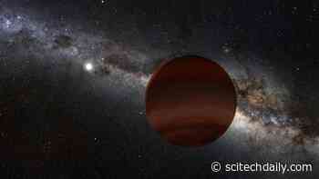 Citizen Scientists Discover Dozens of Failed Stars Lurking in Our Cosmic Neighborhood