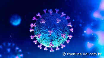 13 pessoas testam positivo para o novo coronavírus em Faxinal - TNOnline - TNOnline