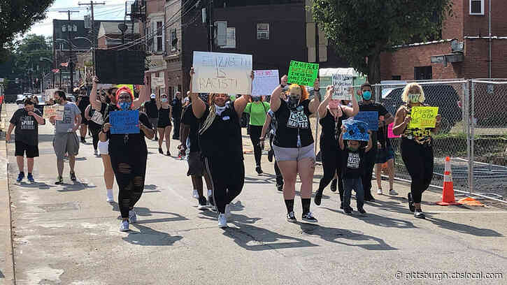 Black Lives Matter Demonstrators And Armed Residents Clash In Elizabeth Borough