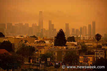 Wildfire Smoke Increases Susceptibility to COVID-19, Medical Experts Warn - Newsweek