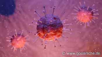 Corona-Ausbruch in Wohnheim in Clausthal-Zellerfeld - Alle Artikel zum Coronavirus - GZ Live