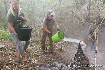 With dozens missing in possible 'mass fatality incident,' Oregon struggles to combat wildfires