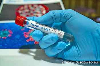 Coronavirus, 18 nuovi positivi e 8 guariti nell'Alto Lazio - Tuscia Web