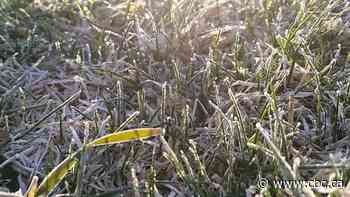 Frost advisories issued for Central Sask. including Saskatoon - CBC.ca