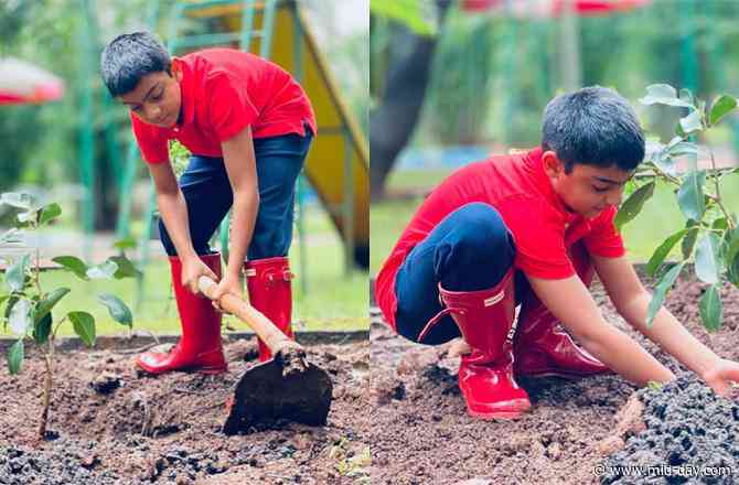 Ajay Devgn wishes son Yug on his birthday by sharing his pictures of planting a tree