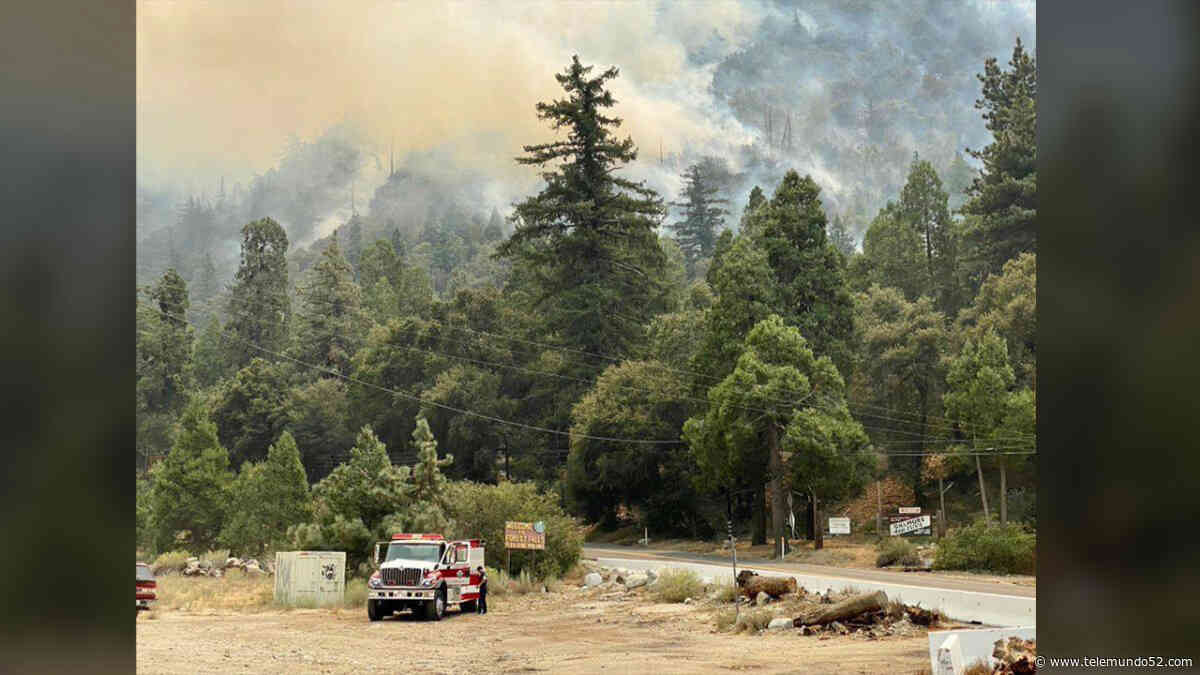 El incendio El Dorado continúa ardiendo en las montañas de San Bernardino - Telemundo 52