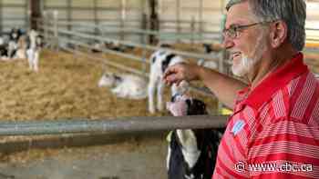 How Trump's dairy deal with Canada is viewed in swing-state Wisconsin