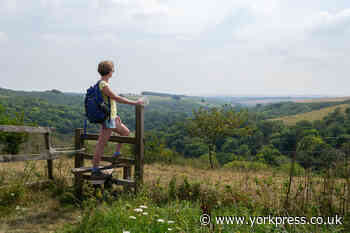 Kay Frances takes a hike - from Wiltshire to Dorset