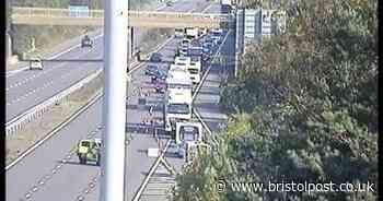 Two lorries collide in M5 crash as driver parks to protect Ford