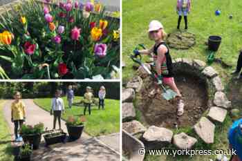 Lord Deramore's pupils get gardening to transform grounds