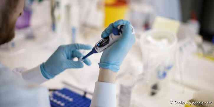 62% of Americans are worried that 'political pressure' from the Trump administration will rush a coronavirus vaccine, new poll shows