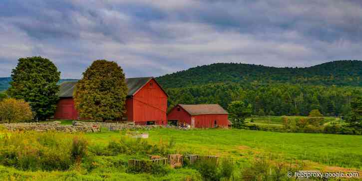How rural states can bridge the 'digital divide,' according to two economic development experts