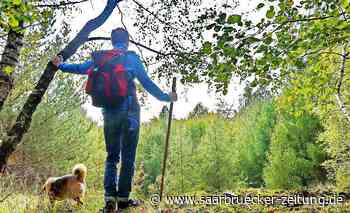 Wanderung in Bexbach und durchs Biosphärenreservat - Saarbrücker Zeitung