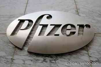 Pfizer, BioNTech propose expanding COVID-19 vaccine trial to 44,000 volunteers