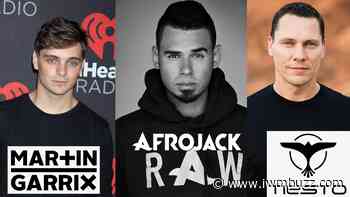 Martin Garrix VS Afrojack VS Tiësto: Who Is The Better DJ? - IWMBuzz