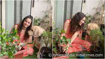 Sushant Singh Rajput's ex-girlfriend Ankita Lokhande shares pictures with her pet dog as she joins #PlantsForSSR initiative
