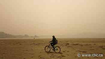 Smoke from distant fires in U.S. poses 'very high risk' for air quality in B.C.