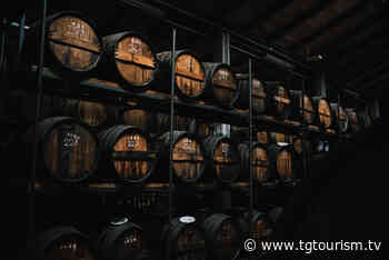 Modena riparte il 27 settembre da Acetaie Aperte - TgTourism