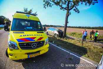 Man overleden na botsing tegen een boom op de N270 bij Helmond