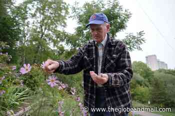 Meet the 95-year-old who tends Rudy’s Garden in Toronto’s Jane-Finch neighbourhood - The Globe and Mail