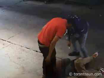 WARMINGTON: Savage stabbing in Toronto The Not So Good - Toronto Sun