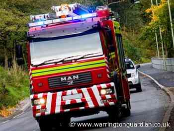 Woodland fire believed to have been started deliberately