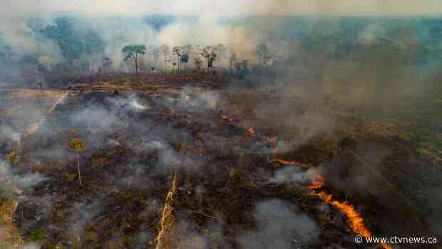 Battle on to save Brazil's tropical wetlands from flames